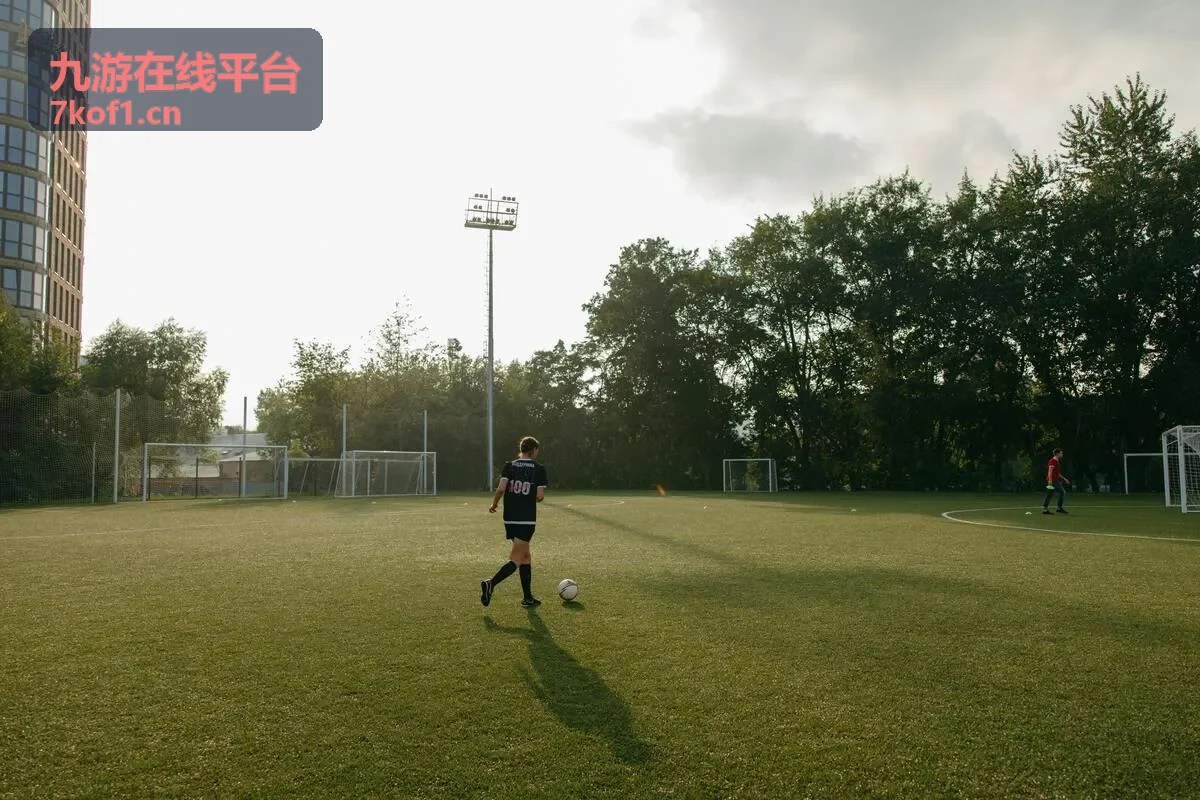 九游在线平台版本更新与维护公告说明配图